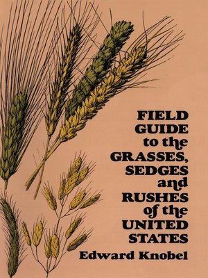 cover image of Field Guide to the Grasses, Sedges, and Rushes of the Northern United States